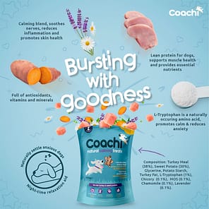 Coachi Bursting Infographic 1080px