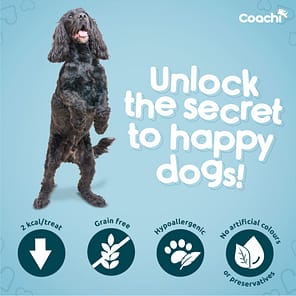 Coachi Training Treats Happy Dogs Infographic 1080px