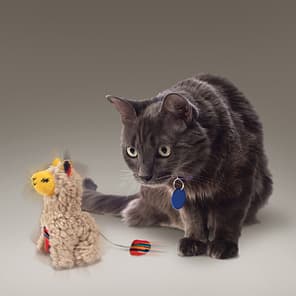 KONG Softies Buzzy Llama Cat Toy Lifestyle 1080px
