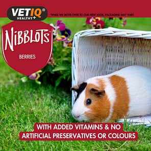VETIQ Nibblots Berries for Small Animals Lifestyle-2.0