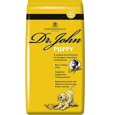 Home 22 Dr John Puppy