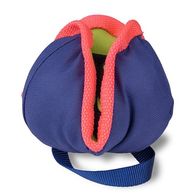 Home 16 Coachi Chase & Treat