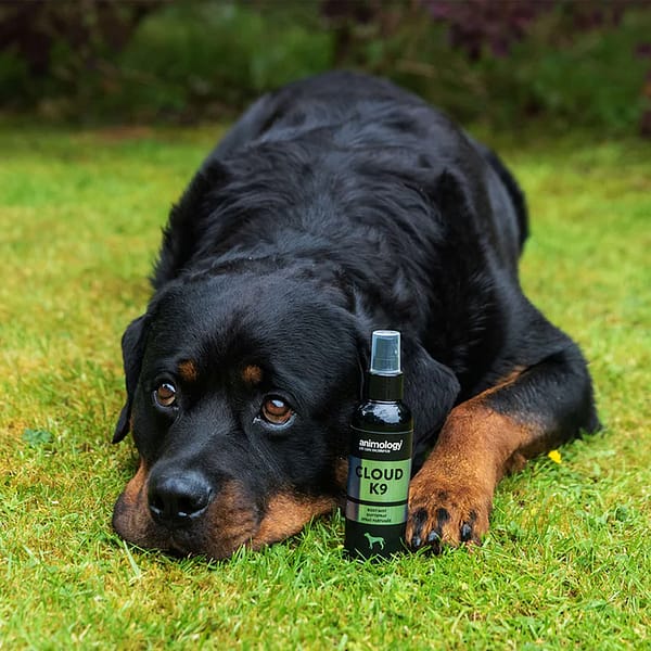 Animology Cloud K9 Body Mist Lifestyle 1080px Animology Cloud K9 Body Mist Lifestyle 1080px