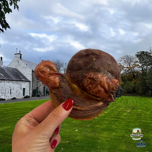 Lamb Testicles in hand 1024 Lamb Testicles in hand 1024