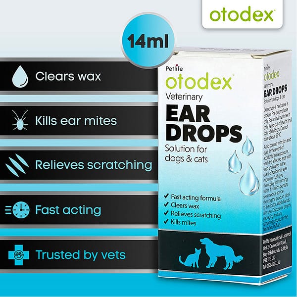 Otodex Ear Drops What it does Infographic 1080 Otodex Ear Drops What it does Infographic 1080