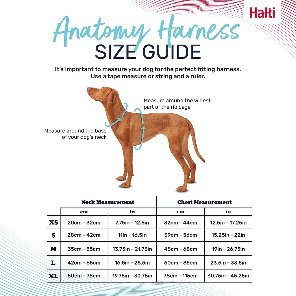 Halti Anatomy Dog Harness size guide
