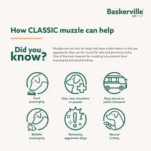 Baskerville Classic Muzzle Did You Know 1080