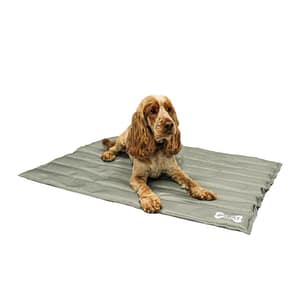 Dog sat on grey cooling mat