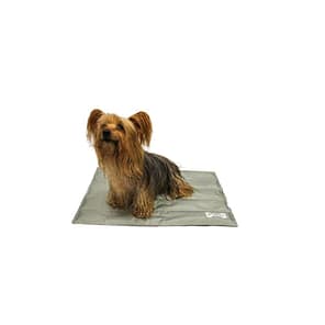 small dog sat on a grey cooling mat