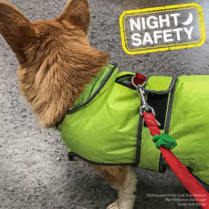 Ancol Blinker Green on Lead