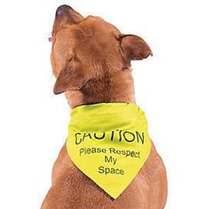 Ancol Warning Bandana Lifestyle1 1080