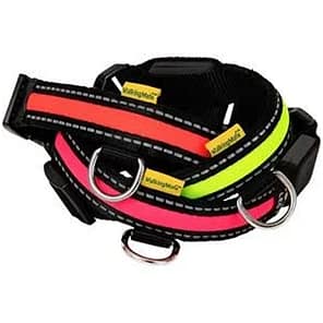 Animate LED Collars Bundle 1024