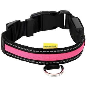 Animate Pink LED Collar 1024