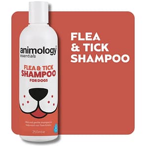 Bottle of Dog Flea Shampoo