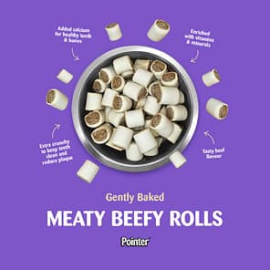 Assorted Meaty Beefy Rolls Bowl 1000