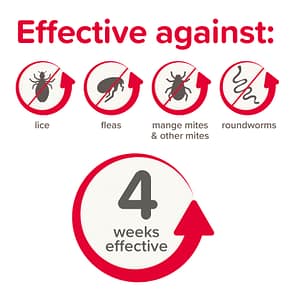 Beaphar Anti Parasite Rabbits Effective against 1600