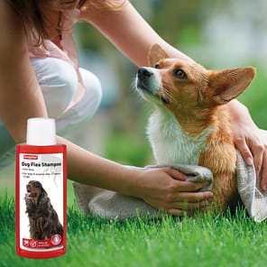 Beaphar Dog Flea Shampoo Lifestyle2