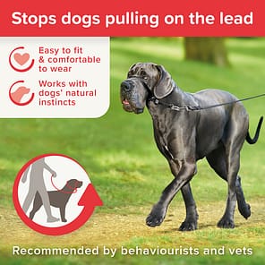 Beaphar Gentle Leader Large Infographic