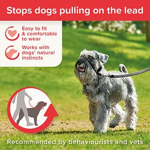 Beaphar Gentle Leader Small Infographic