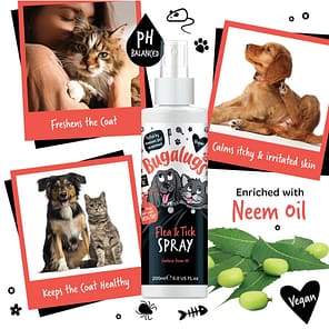 Bugalugs Flea & Tick Spray Lifestyle Infographic 1080