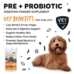 Bugalugs Pre Pro Biotic Powder Benefits Infographic 1080px