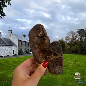 Bull Testicles in hand 1024