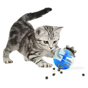 Catit Blue Treat Ball with Cat 1000