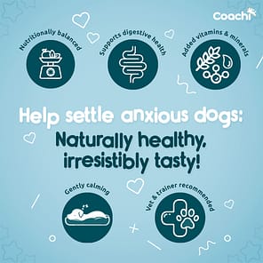 Coachi Calming Treats Anxious Dogs Infographic 1080px