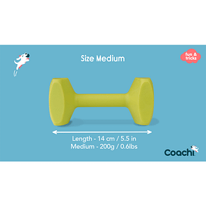 Coachi Dumbbell Medium weights&dims 1024