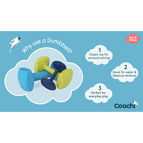 Coachi Dumbbell Why Use 1024