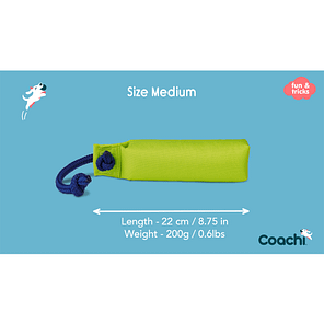 Coachi Dummy Medium Weights & Dims 1024