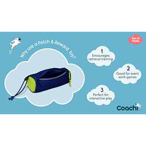 Coachi Fetch & Reward Why Use 1024