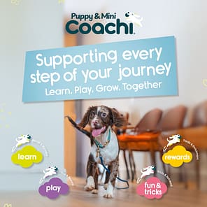 Coachi Puppy Mini Waterproof Line Infographics 1080 (5)