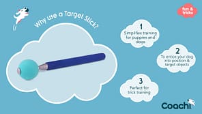 Coachi Target Stick Why Use