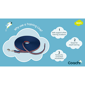 Coachi Training Line 10m4 1024