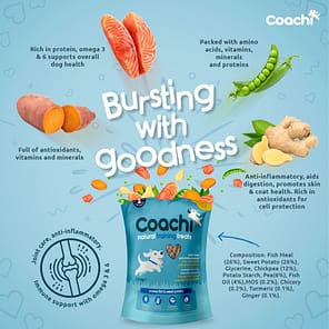 Coachi Training Treats Bursting with Goodness Infographic 1080px