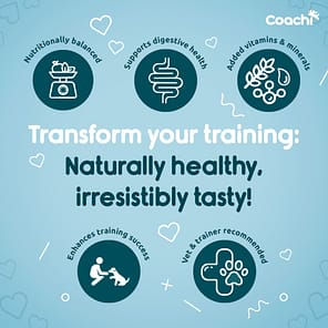 Coachi Training Treats Transform 1080px