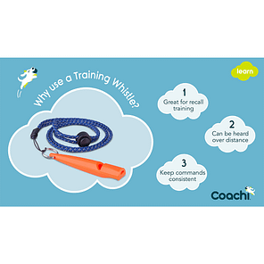 Coachi Training Whistle2 Coral 1024