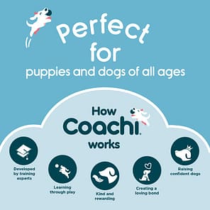 Coachi-brand-images-3-online