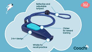 Coachi Whizzclick F&B