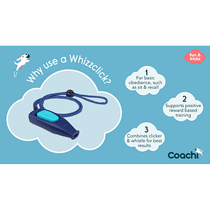 Coachi Whizzclick Why Use 1024