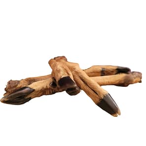 Deer Legs 1000