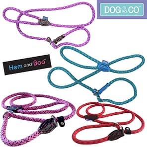 Set of 4 Dog Rope Slip Leads in various colours