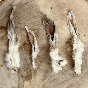 Hair-rabbit-ears-on log