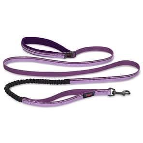 Halti Active Lead Large Purple 1024