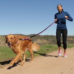 Halti Active Lead Lifestyle1 1024