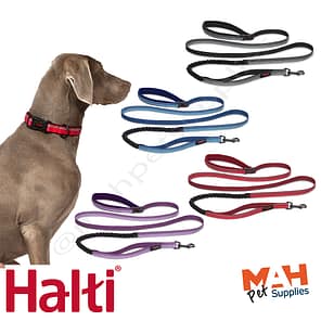 Halti Active Lead MAH Pet background 1024
