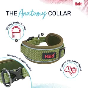 Halti Anatomy Collar Green Features 1080px
