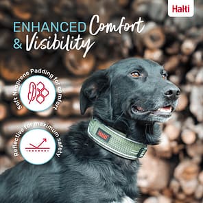 Halti Anatomy Collar Green Lifestyle 1080px