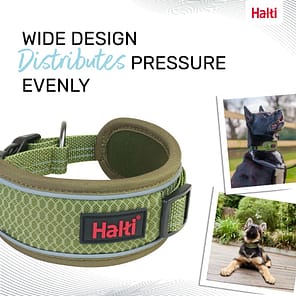 Halti Anatomy Collar Green Wide Design 1080px